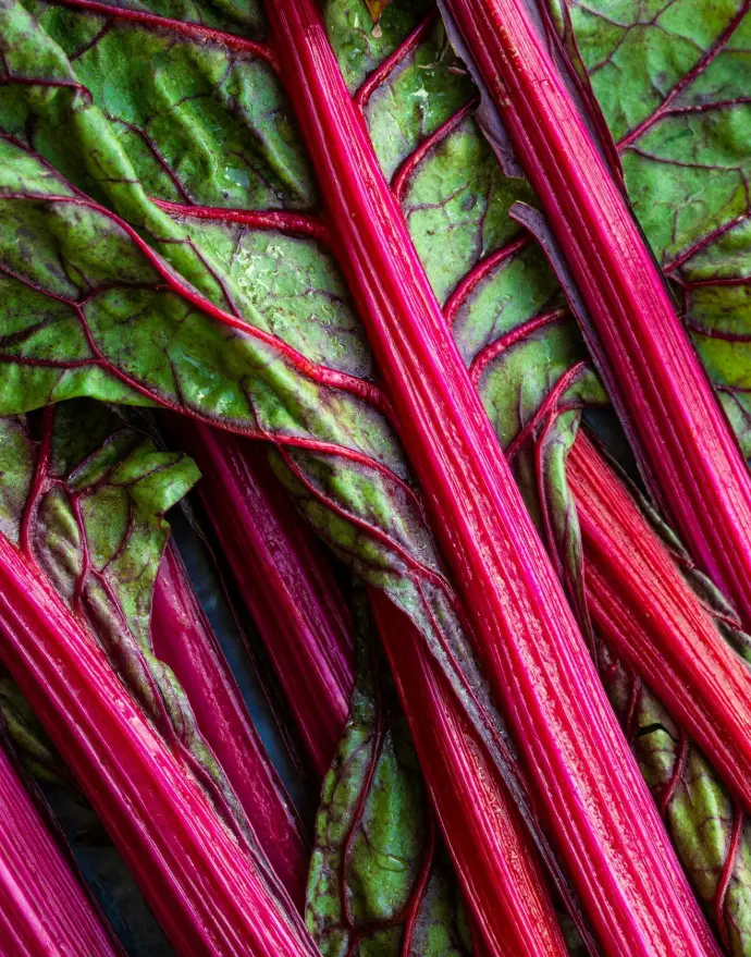 a close up of a bunch of red and green vegetables