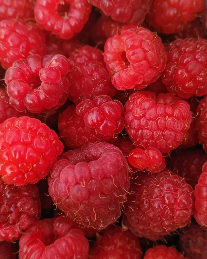 macro photography of raspberry fruits